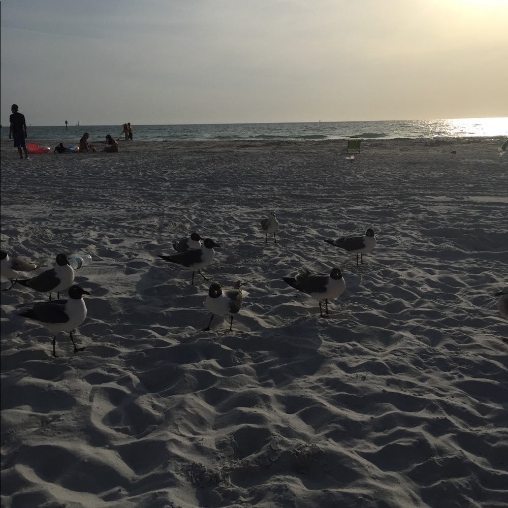 Meet your Posher, Adna